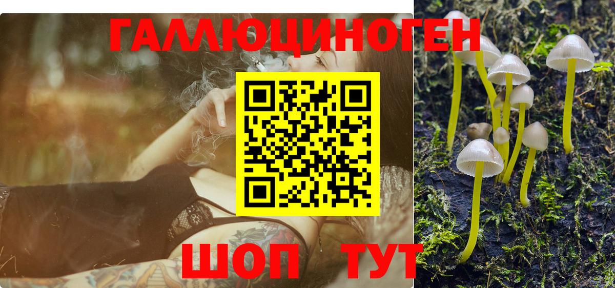 Фурманов  купить наркотик  Вход с VPN  Псилоцибиновые грибы Cubensis  Псилоцибиновые грибы мицелий 